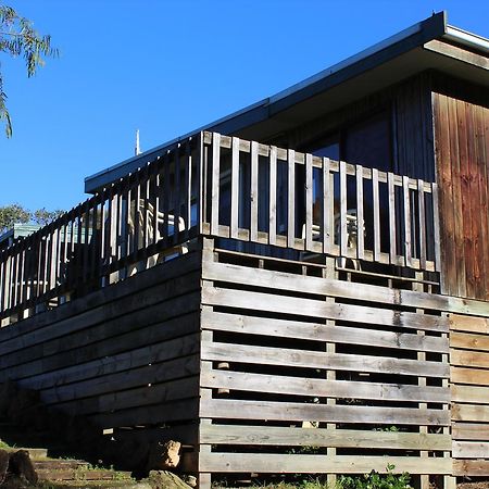 Clifton Beach Lodge Port Campbell Exteriör bild