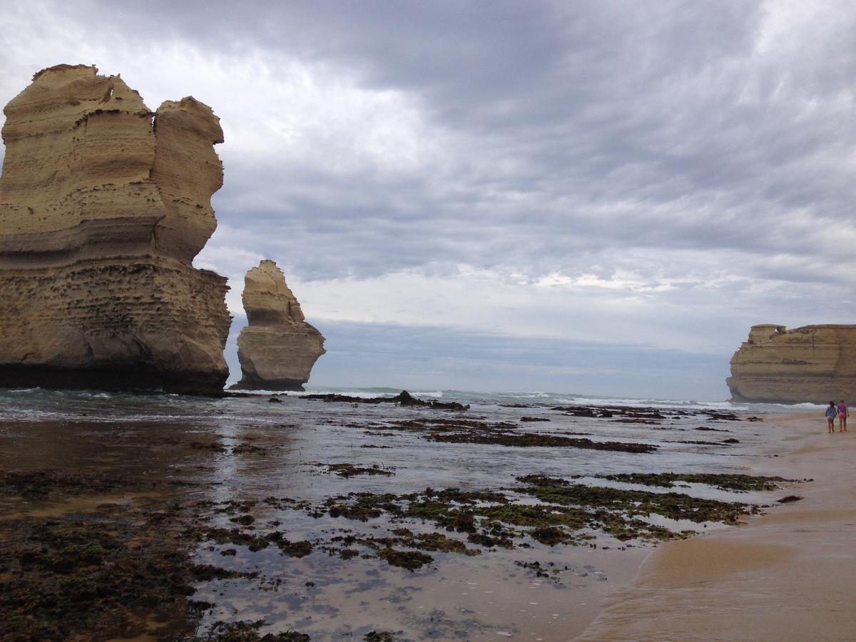 Clifton Beach Lodge Port Campbell Exteriör bild